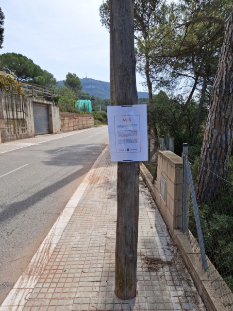 Nova alerta per l’aparició de gats enverinats