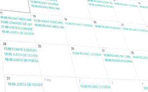 Agenda institucional
