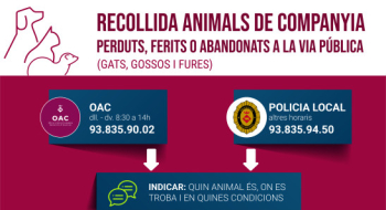 Recollida d'animals de companyia