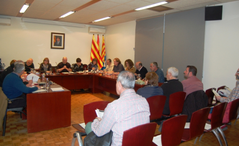 Ple ordinari de desembre