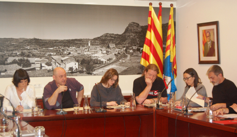Ple ordinari de gener de 2020.