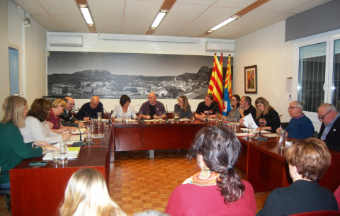 Ple ordinari de gener de 2020.