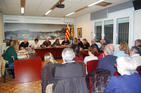 Ple ordinari de gener de 2020.