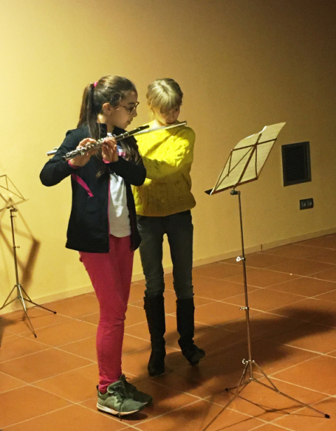 Audicions instrumentals de l’EMMV.