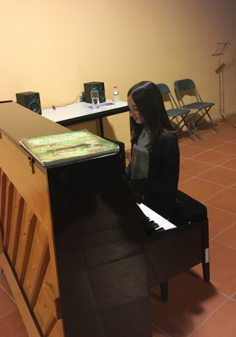 Audicions instrumentals de l’EMMV.
