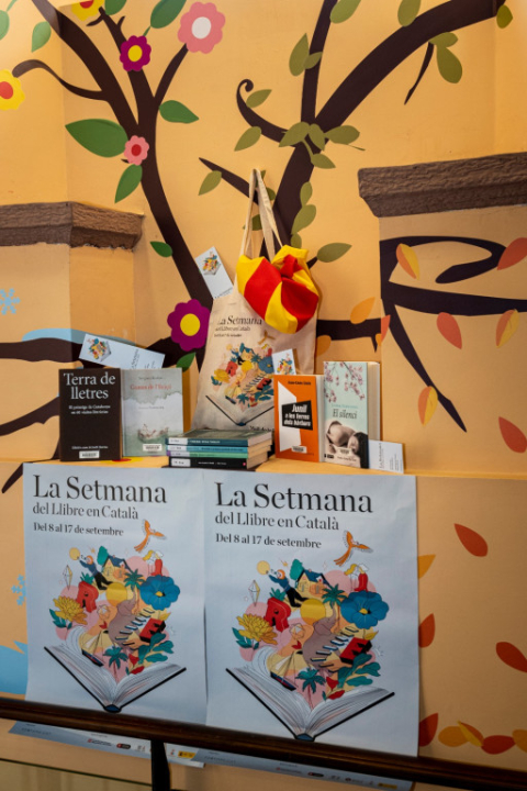 Aparador de llibres de la biblioteca municipal El Castell.