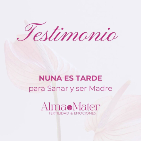 nunca es tarde alma mater.jpg