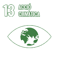 ODS 13