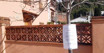 Nova alerta per l’aparició de gats enverinats.