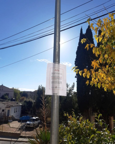 Nova alerta per l’aparició de gats enverinats.