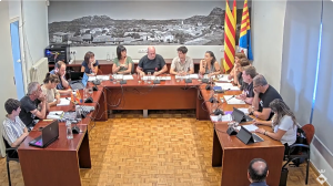 Ple ordinari de 26 de juny de 2025