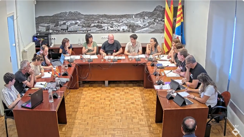 Ple ordinari de 26 de juny de 2025