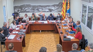 Ple de 30 de gener de 2025