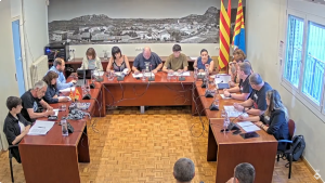 Ple de 29 de maig de 2025