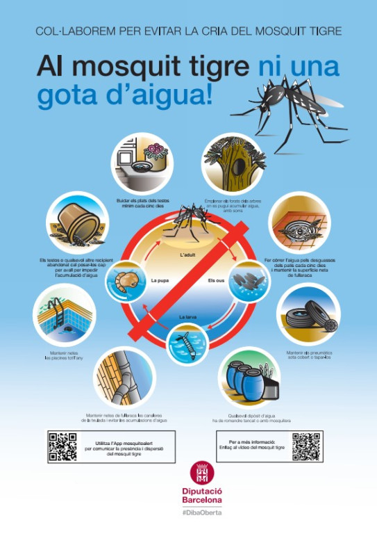 Campanya per controlar el mosquit tigre