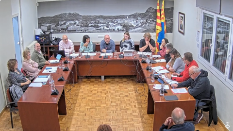 Ple de 24 de novembre de 2022
