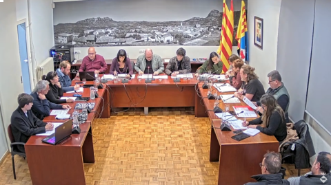 Ple ordinari de 20 de desembre de 2023