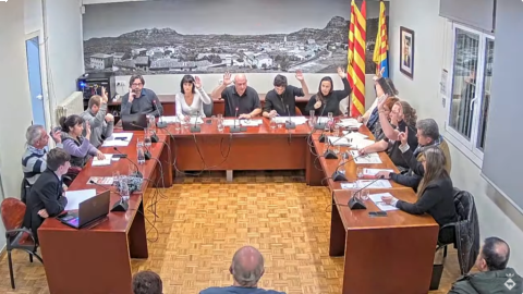 Ple ordinari de 25 de gener de 2024
