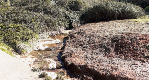 Neteja del Torrent del Sellarès.