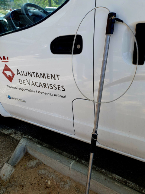 Es renoven els llaços per agafar gossos perduts.