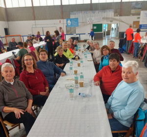 El grup de marxa nòrdica de Vacarisses, al pavelló municipal de Roda de Ter.
