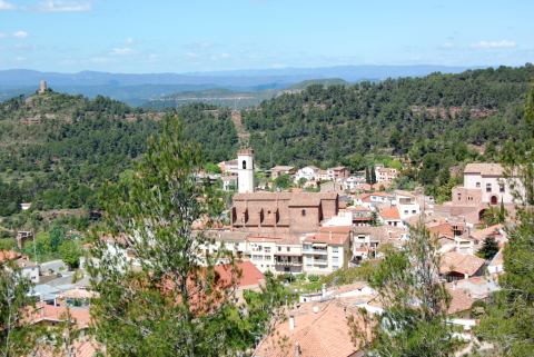 Vista de Vacarisses.