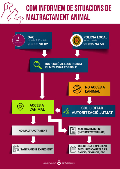 Com informem de situacions de maltractament animal