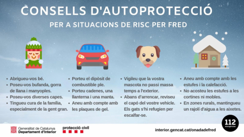 Consells per a onades de fred