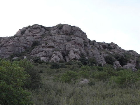 Cova dels lladres