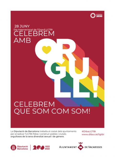Dia Internacional de l’Orgull LGTBI+