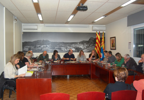 Ple ordinari de febrer.
