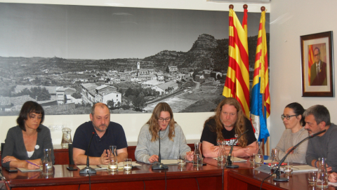 Ple ordinari de febrer.