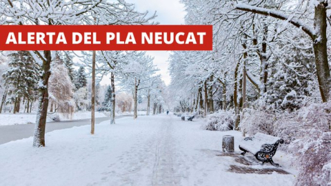 Neucat