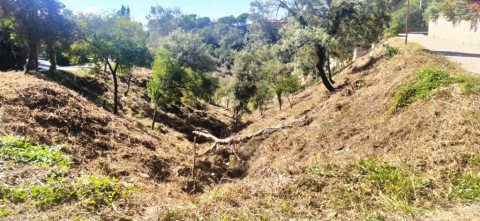Franja de seguretat enfront d’incendis a Els Caus.