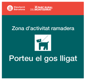 Atacs de gossos al ramat d’El Mimó