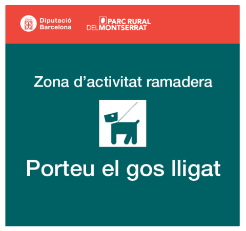 Atacs de gossos al ramat d’El Mimó