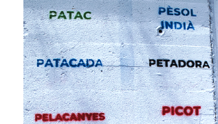 Les paraules vacarissanes que apareixen al grafit.