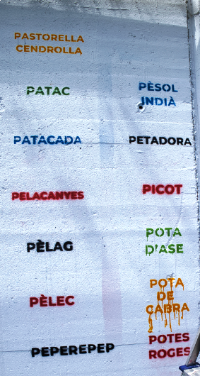Les paraules vacarissanes que apareixen al grafit.