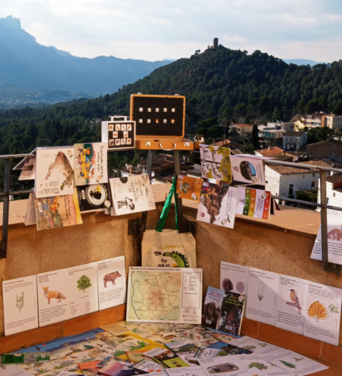 Les maletes pedagògiques de la biblioteca