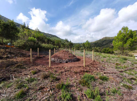 Millora de la biodiversitat a l'entorn de Puigventós i Pla del Fideuer.