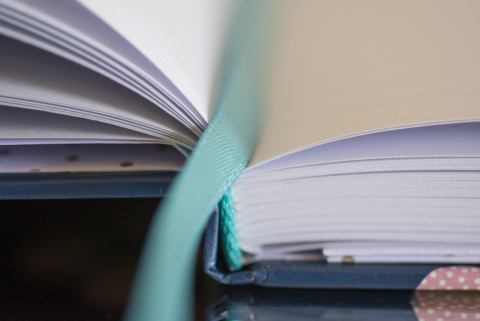 Punt de llibre. Autoria: Rudy and Peter Skitterians, a Pixabay