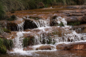 La plujosa primavera del 2008 va fer que la Riera portés una bona quantitat d'aigua.