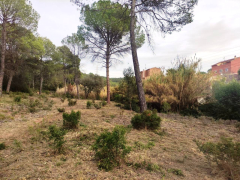 S’inicia el manteniment de les franges de protecció contra incendis.