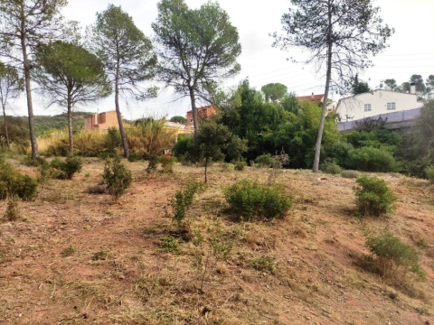S’inicia el manteniment de les franges de protecció contra incendis.