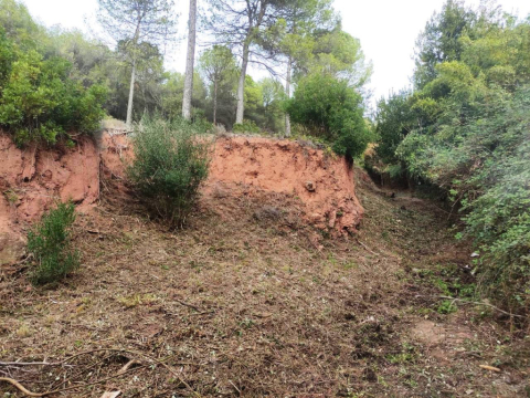 S’inicia el manteniment de les franges de protecció contra incendis.