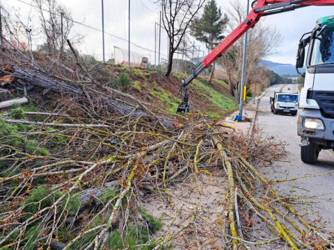 Actuació a l’arbrat de davant el camp de futbol municipal.