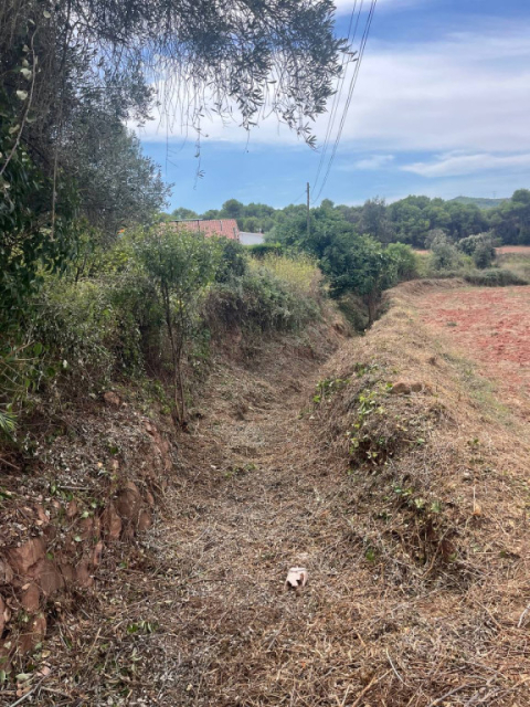 Manteniment de les franges de protecció d’El Pou Gran i Els Caus.