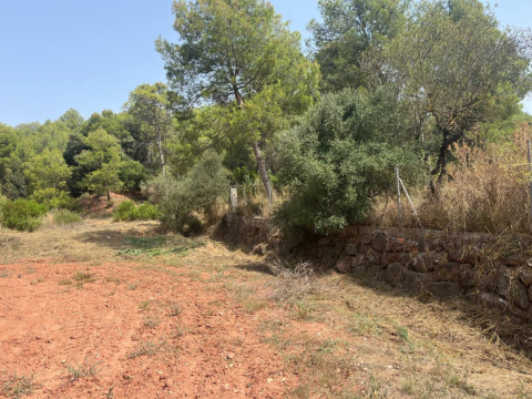 Manteniment de les franges de protecció d’El Pou Gran i Els Caus.