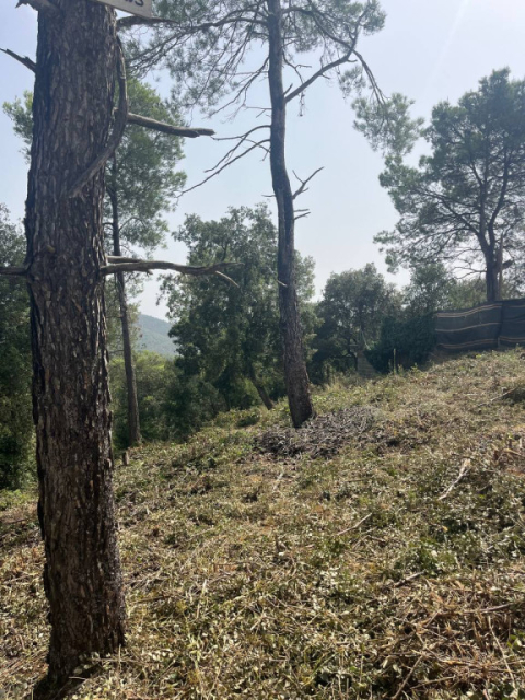 Manteniment de les franges de protecció d’El Pou Gran i Els Caus.