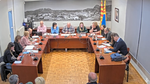 Ple de 26 de gener de 2023